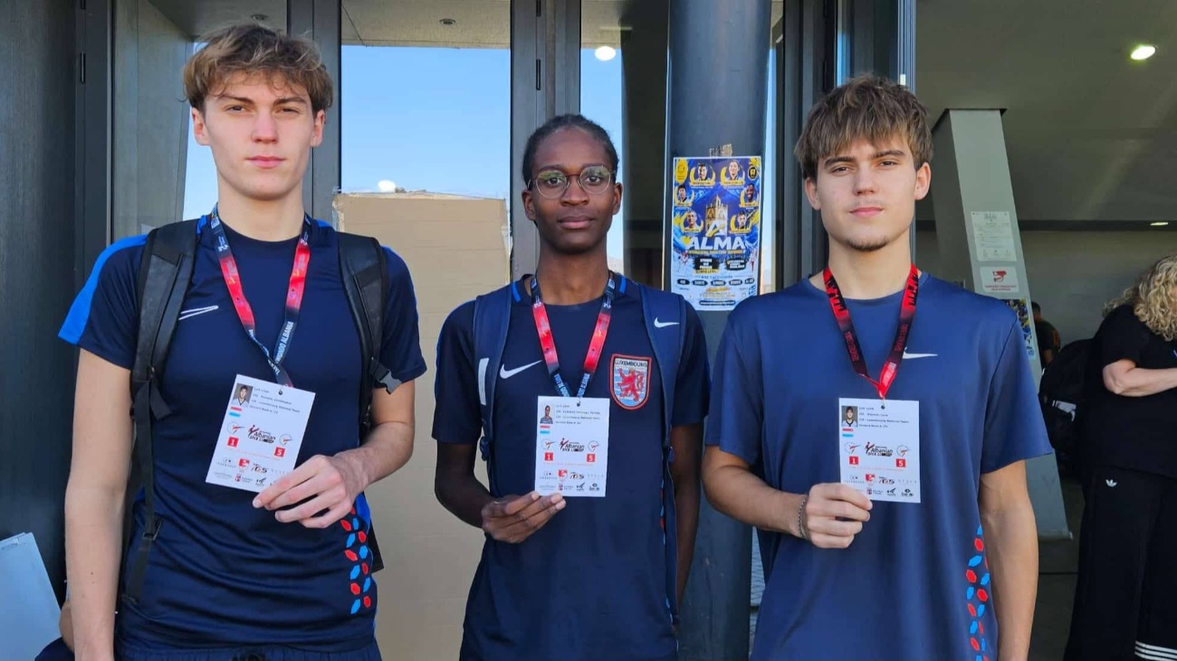 Image de couverture de l'article