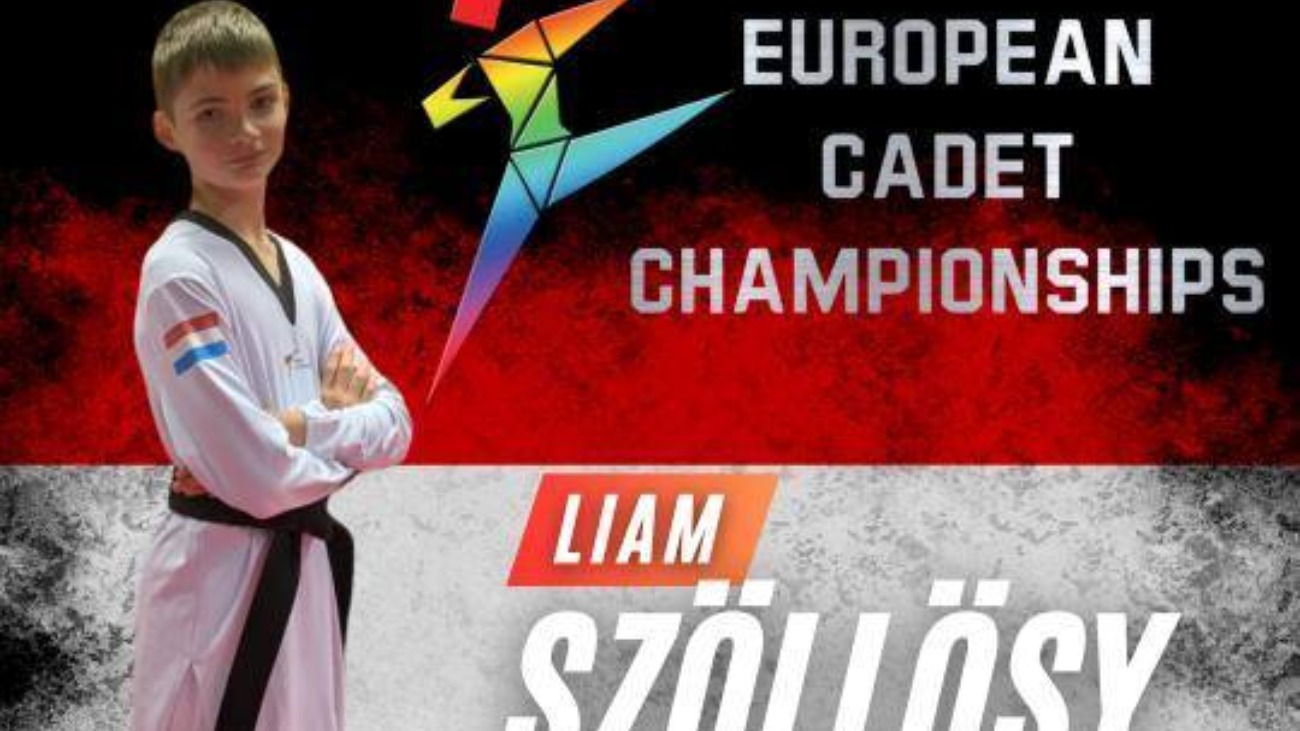 Image de couverture de l'article