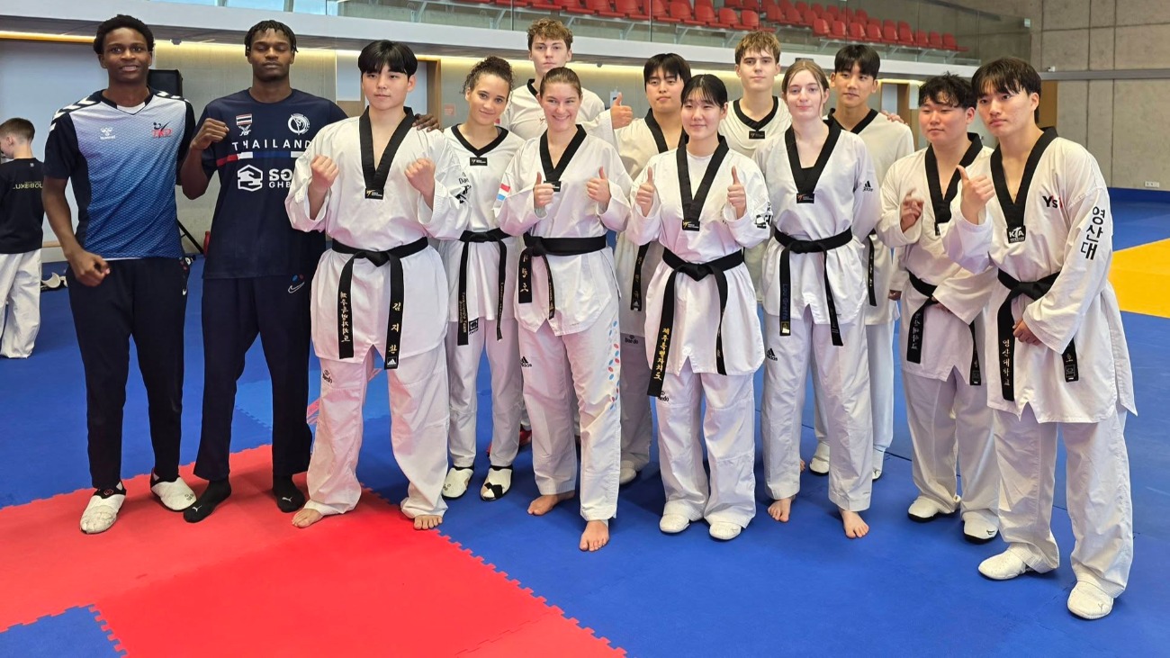 Image de couverture de l'article